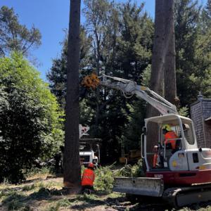 Proven Quality Tree Service