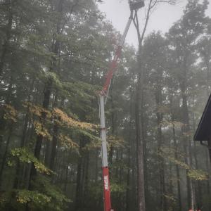 Hoover's Tree Service