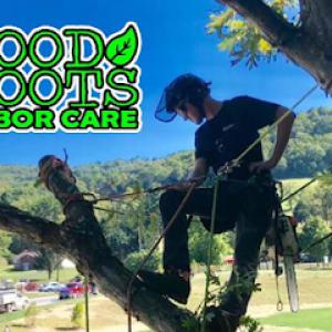 Good Roots Arbor Care