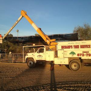 Richard's Tree Service
