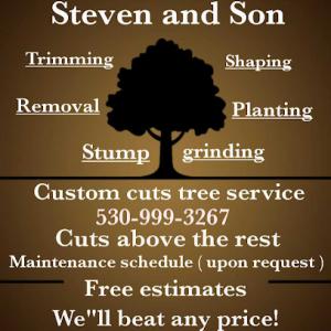 Steve & son custom cuts tree service