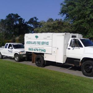 Arborscapes tree service