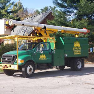 Bob's Tree & Landscape