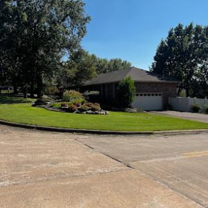 Top Notch Tree & Lawn Care Services