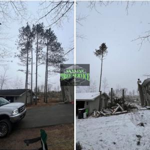 Skyline Clearing & Tree Removal