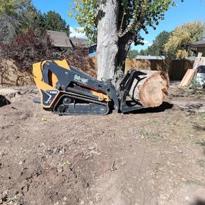 Trees All Day Tree Service