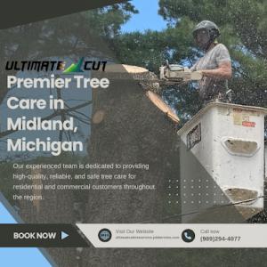 Ultimate cut tree service