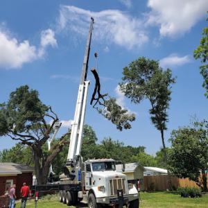 Big John Stump Grinding