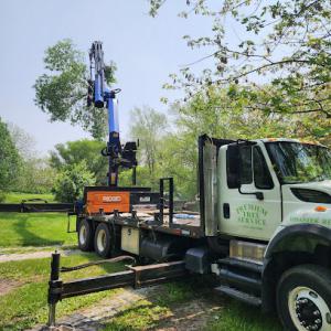 Premium Tree Service