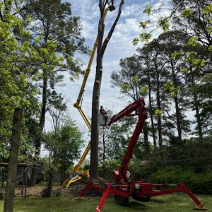 Fuzzell Tree Service