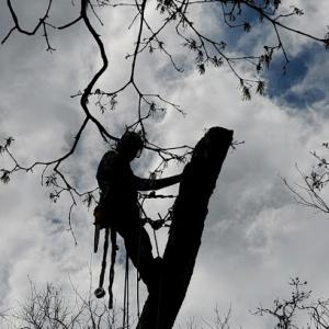 Littleton Property Services