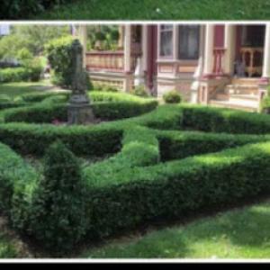 Lindsey The Lawn Lady