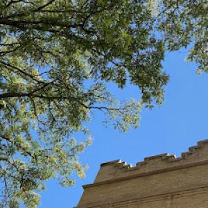 Stronghold Tree Care