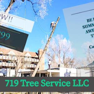 719 Tree Service