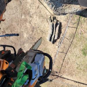 Ground to crown tree care