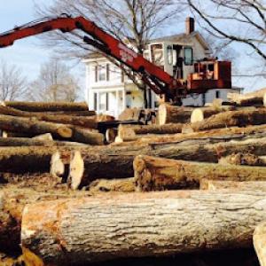 Roger's Tree Service