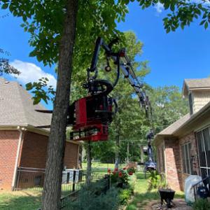 Stump Eater Tree Service