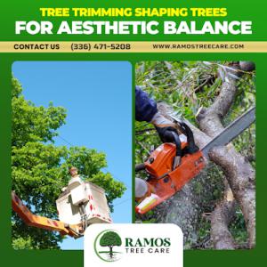 Ramos Tree Care