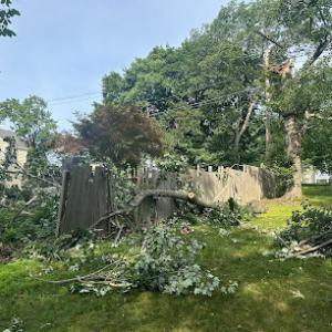 Pinesbridge Tree Service