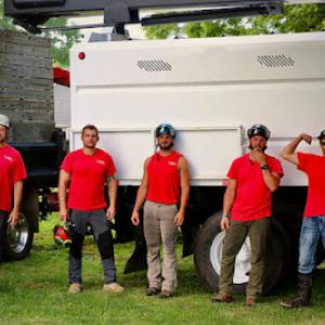 The Tree Company
