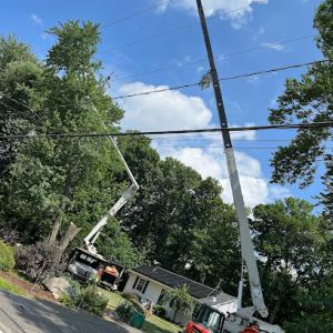 Gibson's Property Maintenance