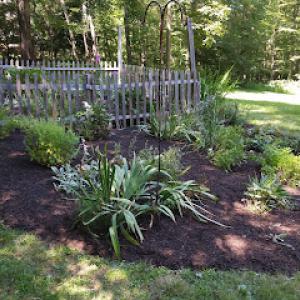 Halcyon Landscaping & Exterior