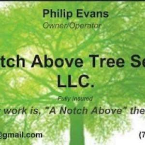 A Notch Above Tree Service