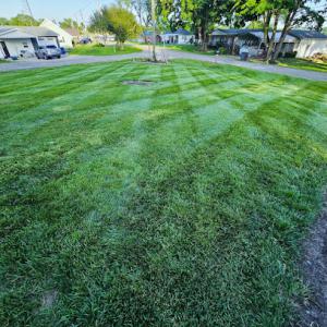 Reveal Lawn Care & Tree Service