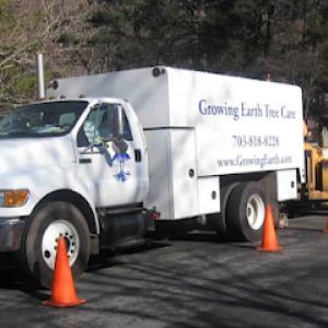 Growing Earth Tree Care