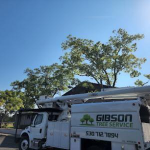 Gibson Tree Service