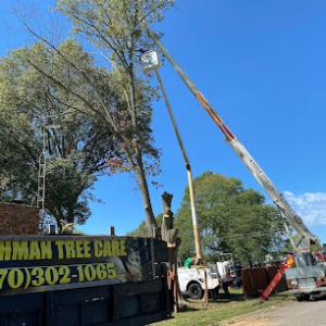 Lehman Tree Care