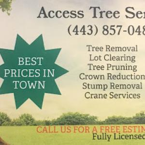 Access Tree Service