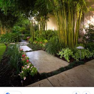 Mendoza's Landscape & Maintenance