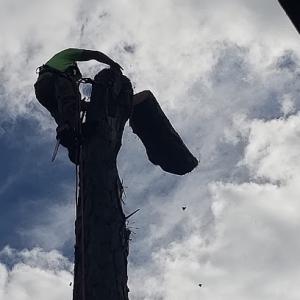 Flagler Land Management