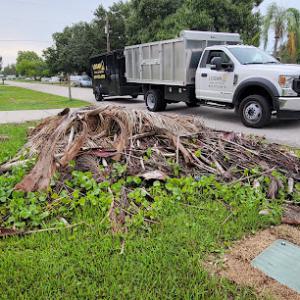LOGAN Tree & Lawn Services