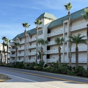 Tree Huggers Tree Service