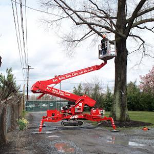 Bay Area Tree Care