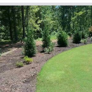 F.G Landscaping & Irrigation