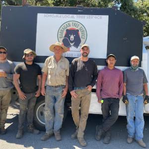 Barragan Tree Service