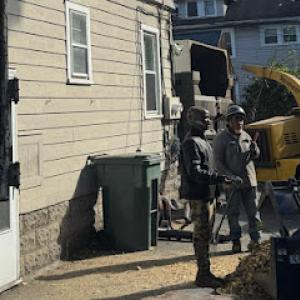 Innovation Tree Services