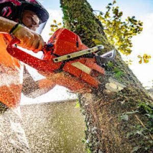 RMG Tree Service