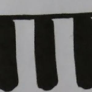 TTT Tommy's tree trimming