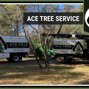 Ace Tree Service