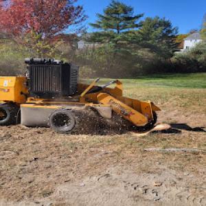 Maineland Stump Grinding