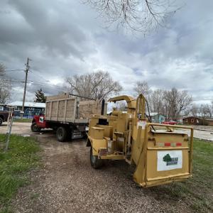 Frank's Tree Services LLC (now Tree-1-1)