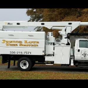 Junior Loye Tree Service