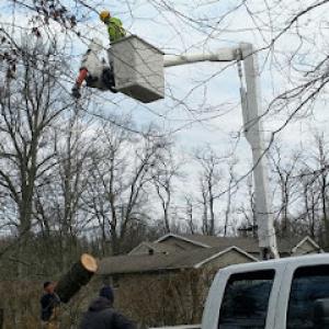 Performance Tree Service