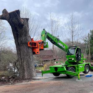 Arborcare Tree Service