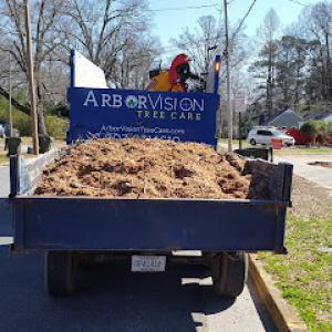 Arborvision Tree Care