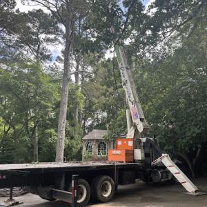 RanStan Tree Service